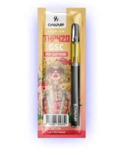 THP420 Kalem+desen GSC %79